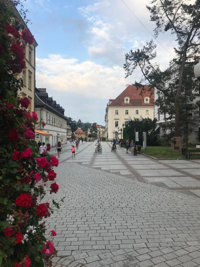 Apartament C18 Jelenia Góra Exteriör bild